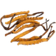 Cordyceps - Énergie